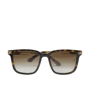 Wayfarer Sunglasses