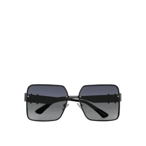 Navigator Sunglasses