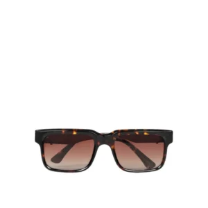 Wayfarer Sunglasses