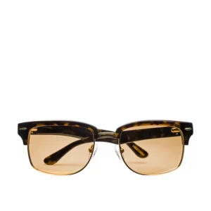Wayfarer Sunglasses
