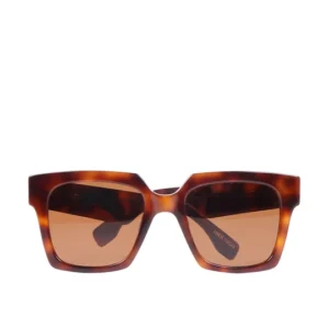 Brown Wayfarer Sunglasses